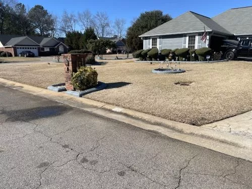 We"ve used Cesar and his crew at Lily"s for two projects now and have been extremely satisfied with both