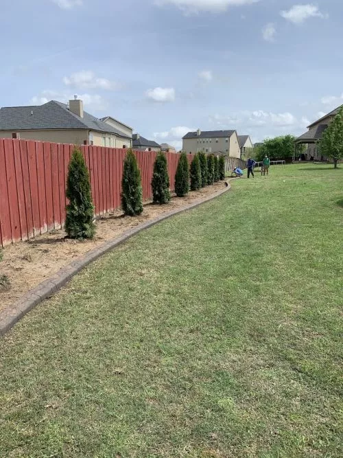 Lily’s landscaping is the best! We had garden curbing added and absolutely love it