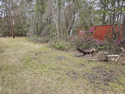 I cannot give enough positive feedback to Ayla Tree Service. Everyone who I interacted was friendly and professional