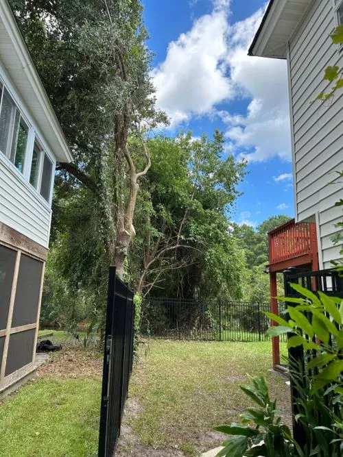 Ayla Tree Service was reliable, efficient, and did an overall great job for a fair price