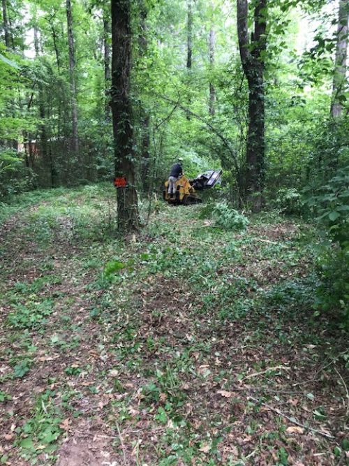  alt='Stop searching for a service and chose Nate and his team! All I can say is wow'