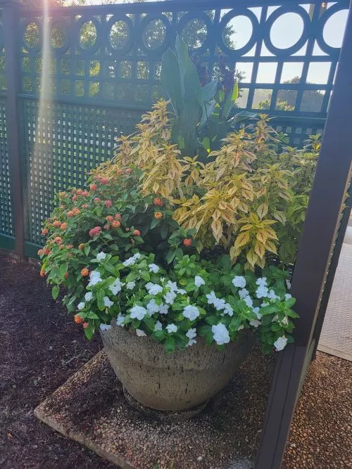 Nice staff, however the late delivery involved rain and the delivery requirement was not as promised causing much