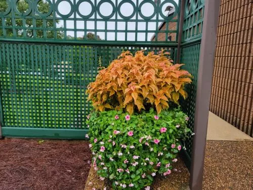 If all you want is someone with quality work then this is a great place to get your landscape needs