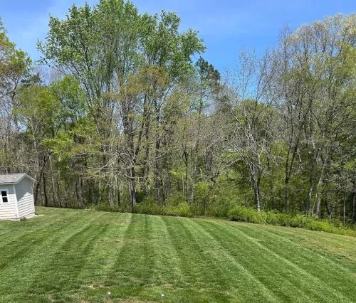 3 J"s Landscaping is great to work with and very professional. We would like to thank you and your crew for all your hard