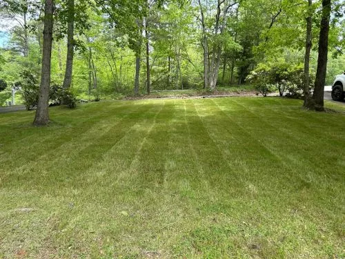 I have been using 3 J"s Landscaping for about 2 years now. I am so glad that I found them