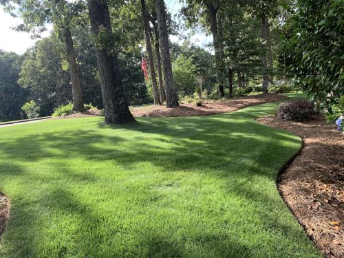  alt='This team is amazing! Great pricing, VERY communicative and has always done a great job'