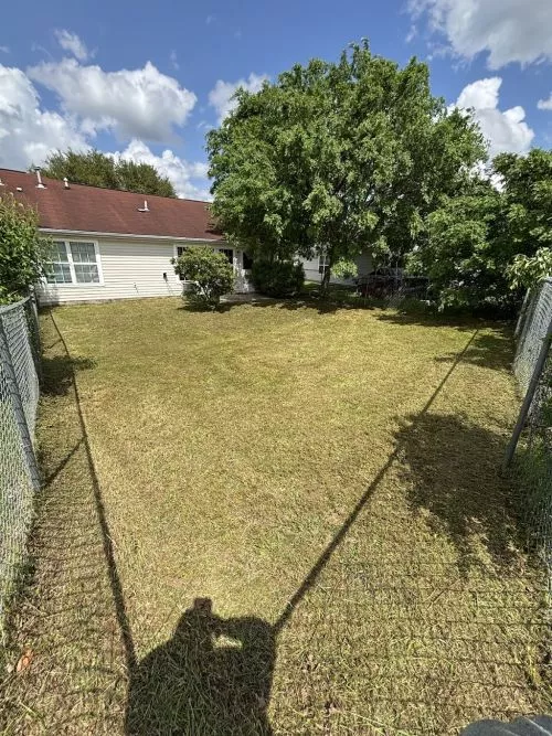 This team is amazing! Great pricing, VERY communicative and has always done a great job