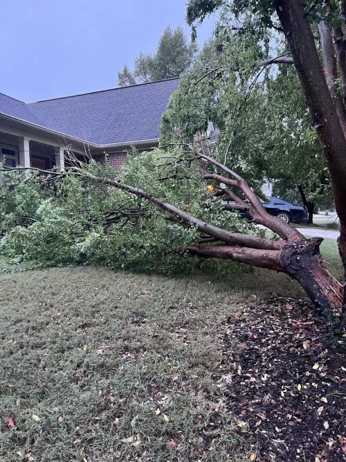 These guys are the best. Every single person on site knew what to do and did it. It was amazing watching this team work