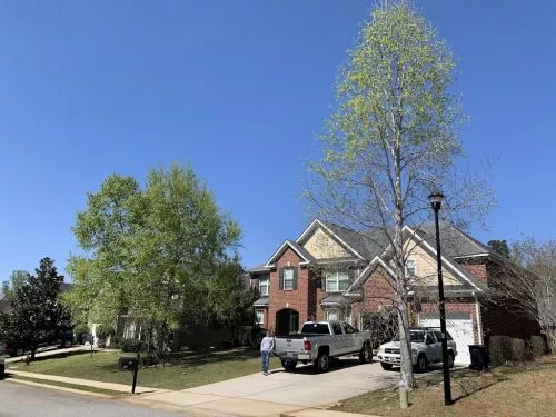 I can’t say enough positive things about EGTS! After Hurricane Helene, my backyard was a complete mess