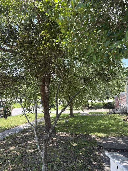 I can"t say enough good things about EGTS. . . Sean, Brandon and the team were so attentive to all my concerns