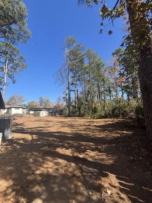 This is the third time that Eben Gray"s Tree Service has helped me with tree hazards over the years