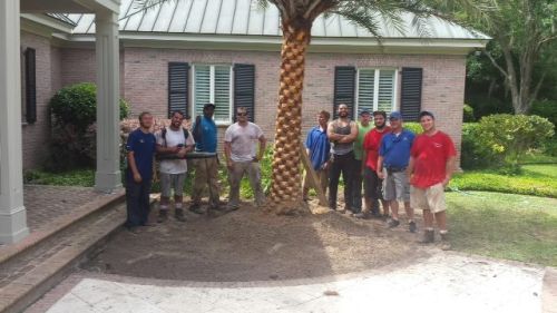  alt='Another Landscaping Co does an amazing job with my commercial property. Mr'