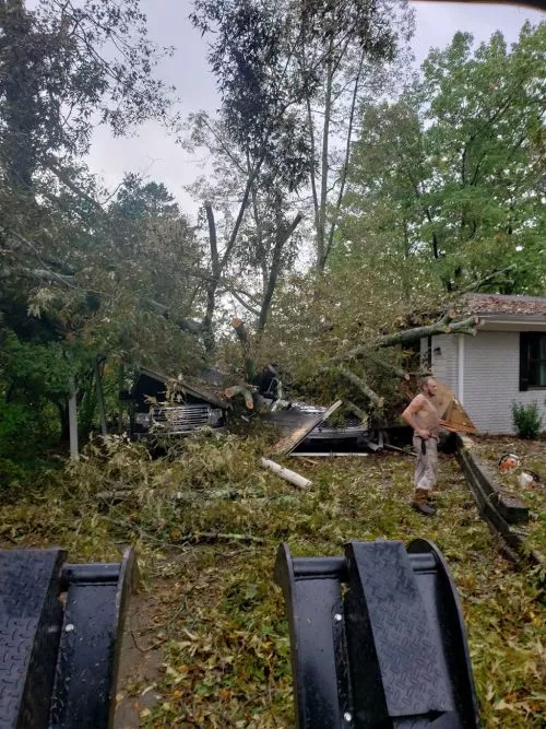 Had them remove three large trees, and they did a professional job