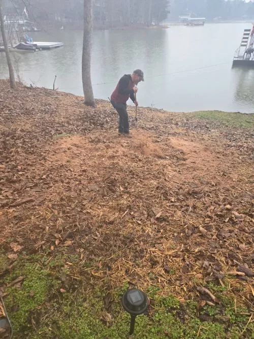 I had a giant oak tree in my front yard. The gentlemen from R&A tree services came out and removed the tree in one day