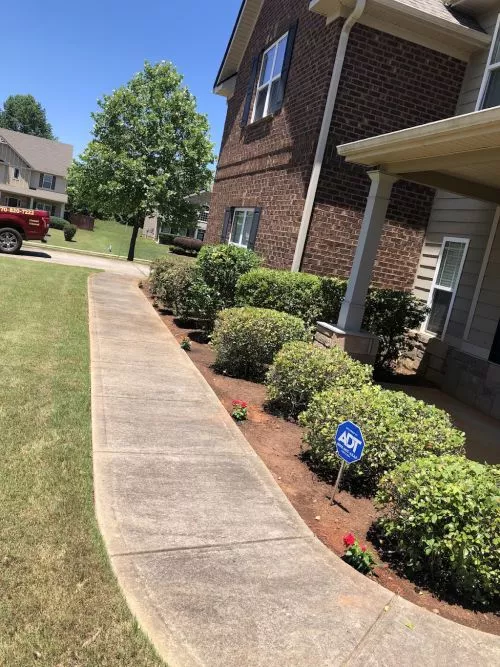 Pro Terrains work is incredible. I was searching for hours for reliable lawn care