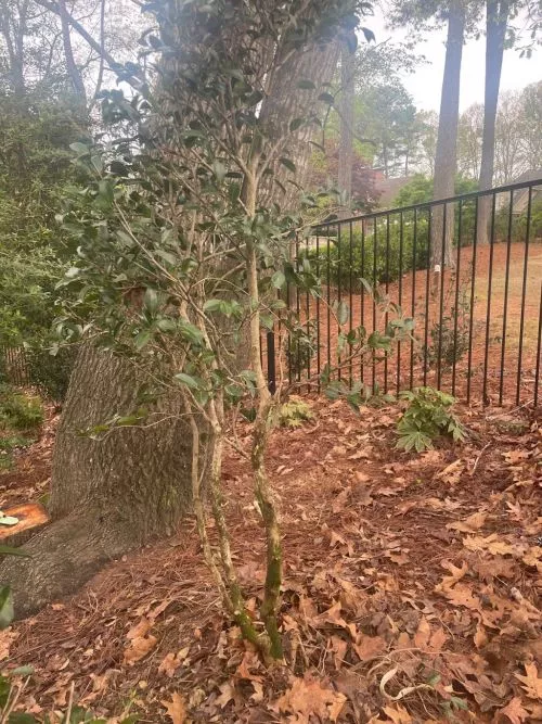 We completed a landscaping project with Twelve Oaks Landscaping in June 2021and paid more than $22,000 to plant a number of