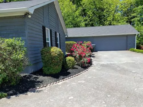 They have made my front and back yards look amazing!! They were quick to come and give us a quote, reasonable prices and