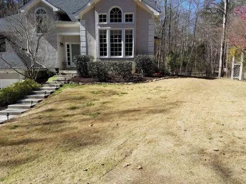 I had them come ou to give me an estimate to install sod on a hillside of my yard