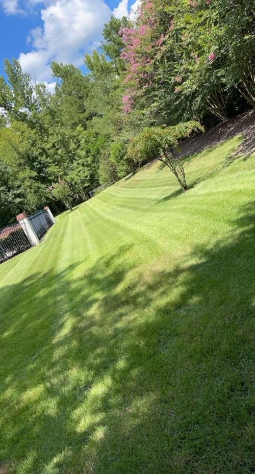  alt='We have used Southern Boys Landscaping the past few years! Matt is great brought out vision to life in our yard'