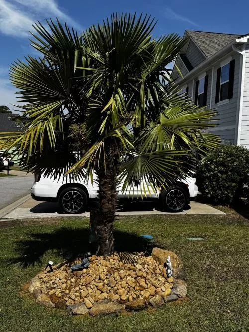 Sean did an AWESOME job installing river rock and shrubs at our new home to revamp a landscape bed