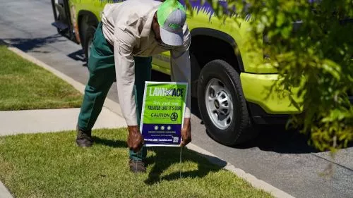 Mike Hanson is an excellent technician from Lawn Ace. He"s professional, polite, and knowledgeable