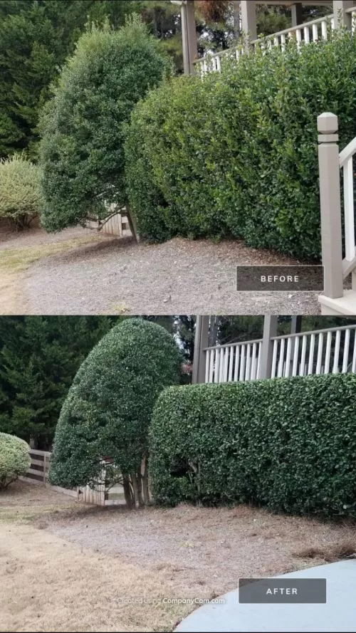 Nick is a one-man powerhouse! We are so pleased with the work he did on our backyard fence and the time that he took to