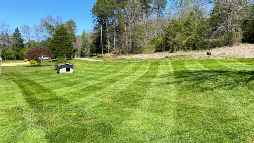  alt='Josh exceeds expectations! I was brand new to the area and in need of immediate lawn care'