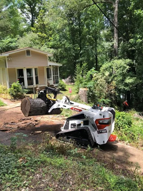 We hired Python to take down several dead trees at the front of our yard. Our entire experience with Python was awesome