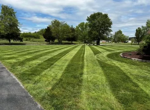 Great customer service, got the job done with no problems. Very hard worker!