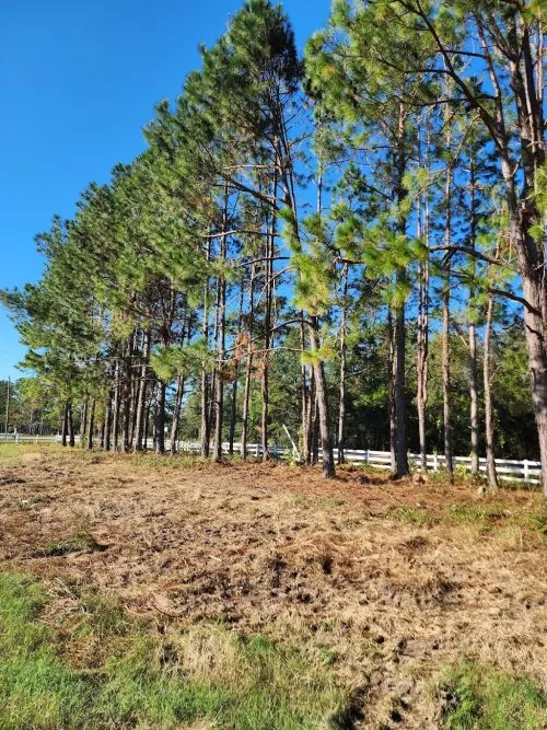 We"ve known Patrick for about 25 years and he is a great guy. He recently cleaned up about 2 acres of storm damaged trees