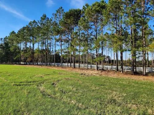 Reliable, trustworthy, and great work! He was quick and efficient. I was very satisfied, no complaints