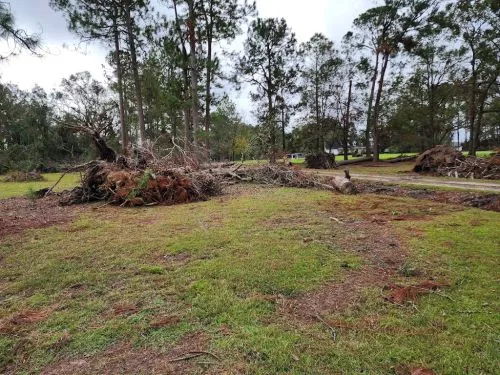 Patrick cleared a very messy dilapidated mobile home and 5 acres of property very overgrown