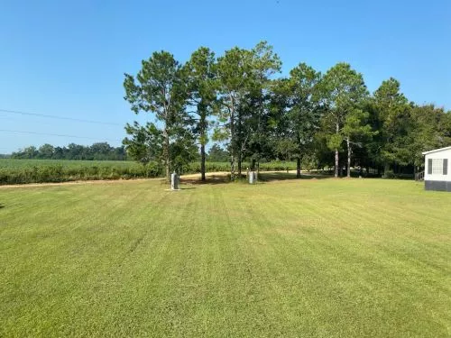 I called to get an estimate Logan came and gave me an exceptional price and mowed my yard the same day and he did an