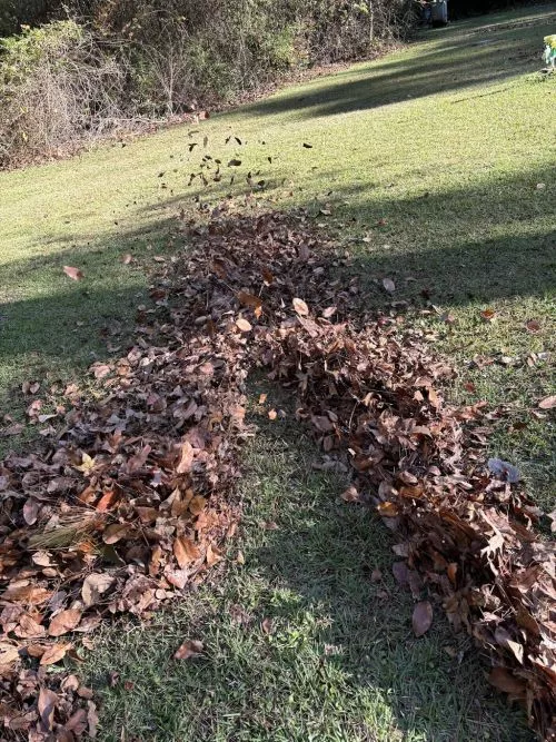 Logan Cooper runs his business with integrity and detail. American Lawn Care serviced our acre property for six months