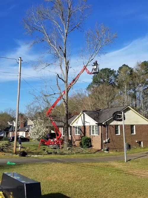 Dedicated, determined, and dependable. Excellent company, lead by a great family man that is very knowledgeable in the