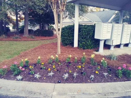 Mike and his team are the absolute best around. They’ve been taking care of our homes and shop for years