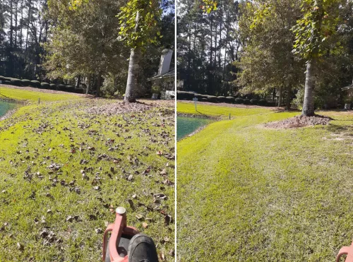 Mike and his team consistently provide excellent service. Their dedication to serving their clients is among the best