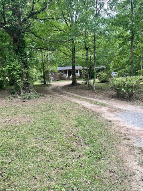  alt='BEAUTIFUL. . . Ed is what every professional should be. Just look at the pics of my yard'