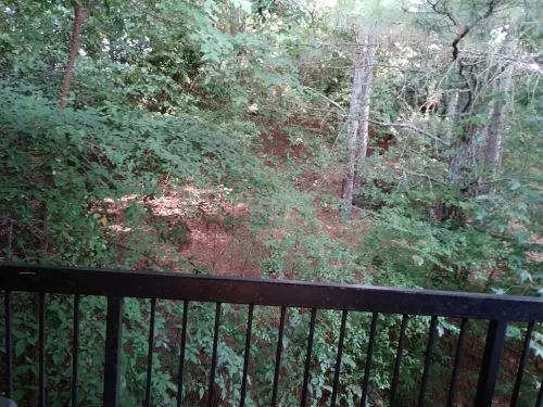 Ed was fantastic, he really took care of my lawn. Felt like he did it as if it was his own lawn. Here’s the b4 and after