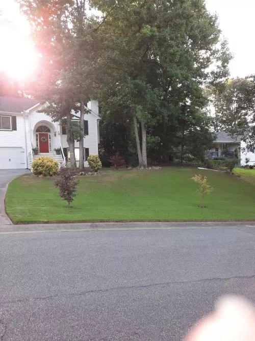 BEAUTIFUL. . . Ed is what every professional should be. Just look at the pics of my yard