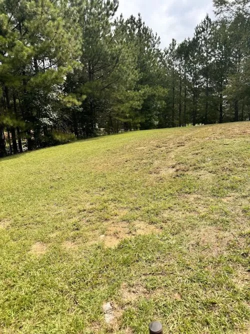 I couldn"t be happier with the work this landscaping company did