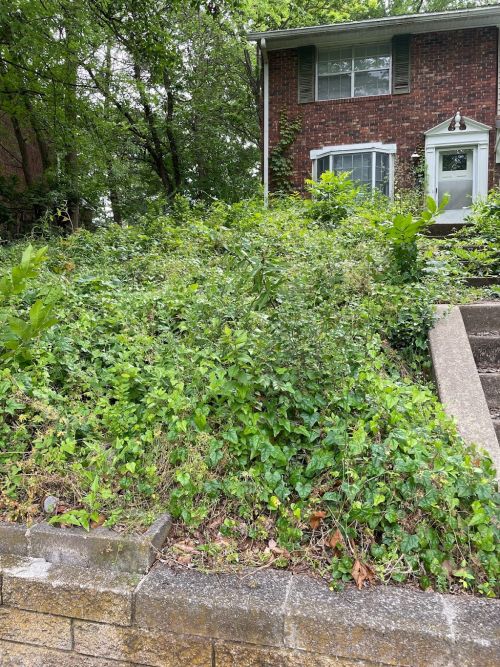  alt='Came out same day and when they got there, informed me that the service was free which I completely appreciate being on a'