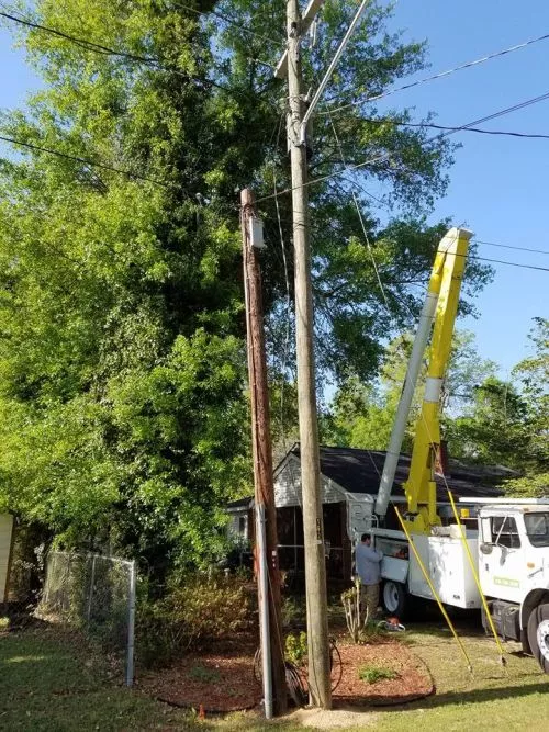 I had a big oak tree fall on my house in the middle of night during a storm