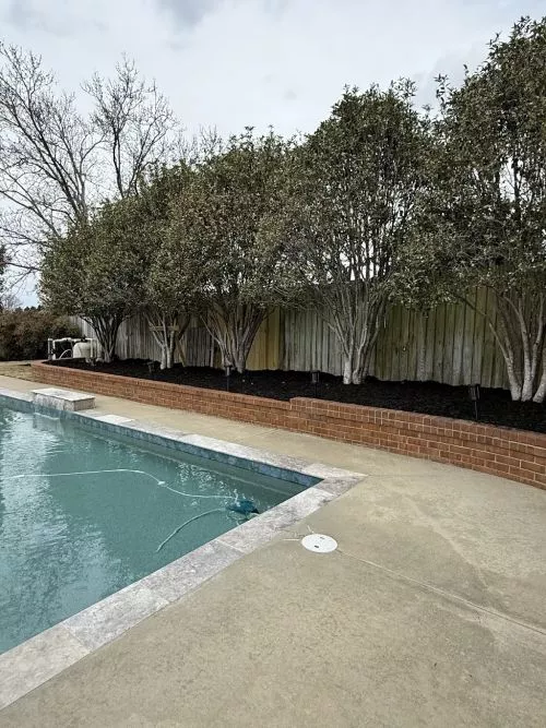 If I could give 10 stars to Augusta Lawn Care of Augusta, Georgia, I would