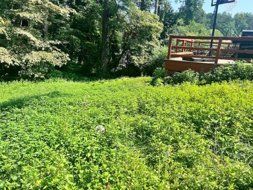  alt='Marvin Ramos and his Team have been cutting and landscaping my yard for over 5 years now'