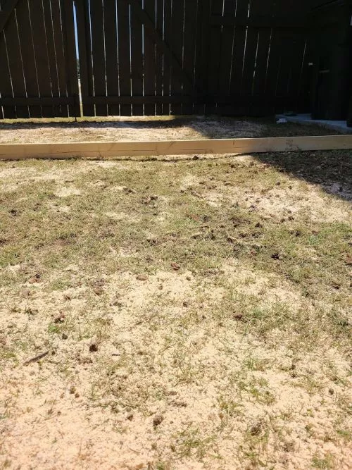 I have used North Georgia Lawn for a number of years, and they"ve done a great job handling not only my lawn, but keeping