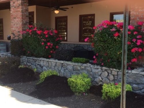  alt='Tom C. Takes care of his customers! He has vast experience in the lawn care business! We highly recommend him'