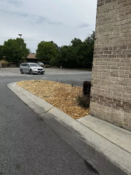 Tom C. Takes care of his customers! He has vast experience in the lawn care business! We highly recommend him