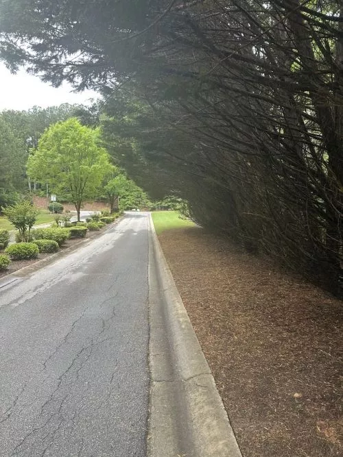 Tom and his team are the best around! They take care of many properties we occupy and I never have to worry or follow up