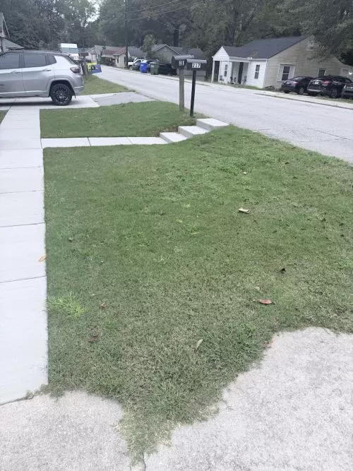 I have a very small front yard, as you can see in the photo, and I hired Legacy Lawn Care to address a brown patch and to